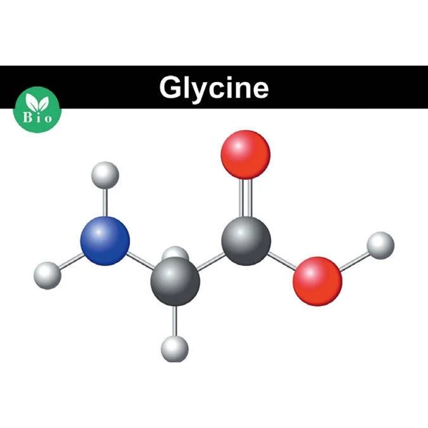 glisine glycine Bahan Kimia Makanan