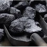Coal Batu Bara Gas Batu Bara